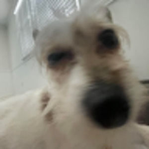 Meet your Posher, Chloe